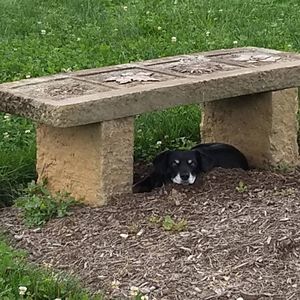 Meet your Posher, Linda